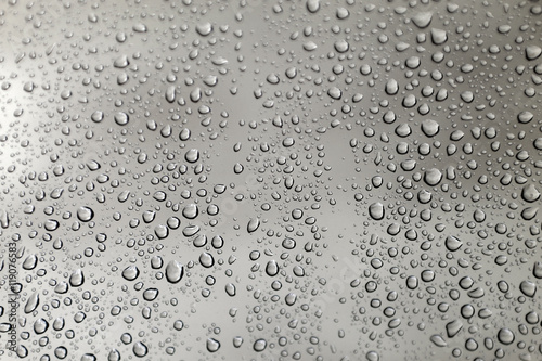 500_F_119076583_M7JVwaovATQqoABfbGCRJGvGzxtdtsf6.jpg