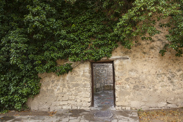 passage in the stone wall and Ivy Green