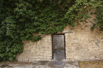 passage in the stone wall and Ivy Green
