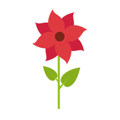 beautiful red flower plant floral natural  gardening spring vector illustration