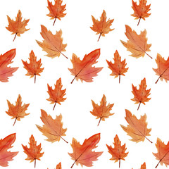 Obraz premium watercolor pattern of autumn orange yellow maple leaves on white