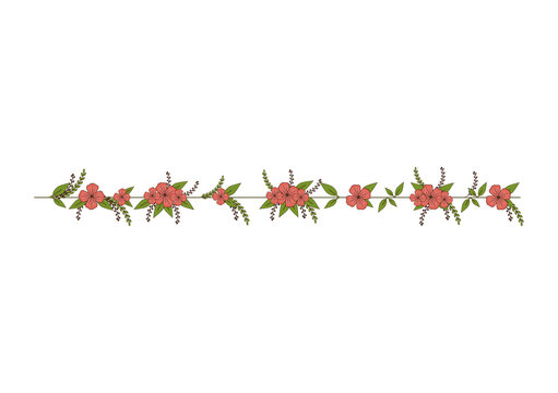 flower floral ornament decorative leaves petal blossom vector illustration 