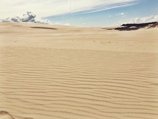 Obraz premium Widok na pustynie