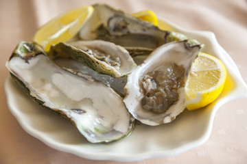 fresh oysters on a plate with lemon