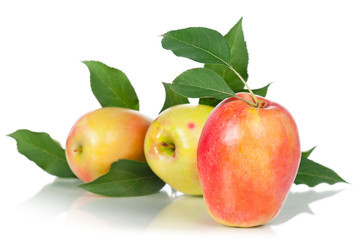 Ripe juicy apples