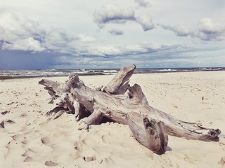 Fototapeta na wymiar Plaża nad morzem