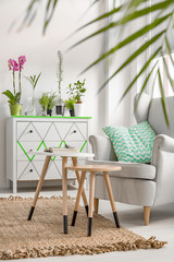 Living room in eco style