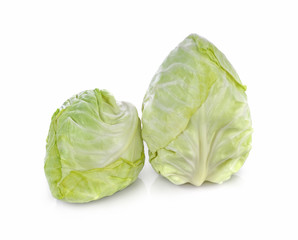 Pointed Cabbage on white background
