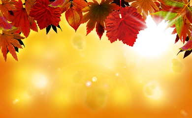 Naklejka na ściany i meble Autumn background with red leaves