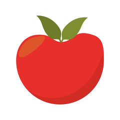 Fototapeta premium tomato vegetable red natural and organic food vector illustration