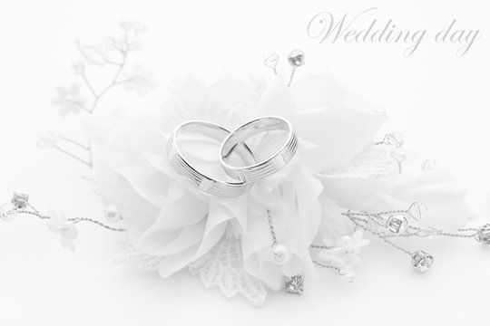 Wedding rings on wedding card on a white background