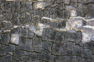 rough cracked wall background porous convex old stains