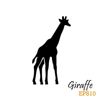 Silhouette of a giraffe. Vector illustration. Symbol, logo.