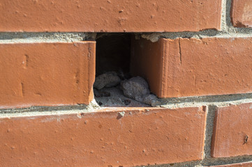Vent in wall