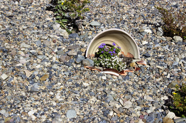 background abstract composition rubble flower pot surrealism