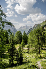 Fototapeta na wymiar foto da un sentiero in trentino con le cime delle montagne sullo sfondo