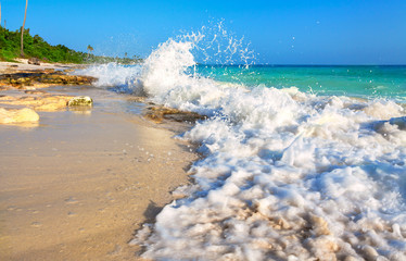 Tropical beach in Dominican Republic.