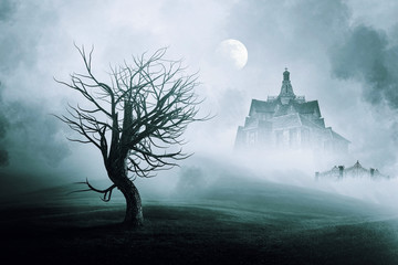 Haunted  house with full moon  .	 - 119084727