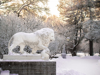 Toned image sculpture of a lion standing on a pedestal in the winter in Saint Petersburg against the backdrop of snow-covered trees and a bright sunset