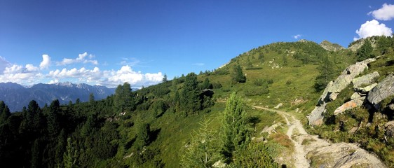 kleiner Wanderweg im Gebirge