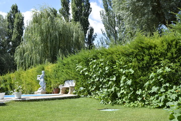 JARDIN
