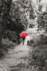 Girl with Red Umbrella Walking Through the Forest