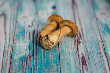 boletus mushrooms on a wooden painted chalkboard