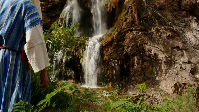 Jew Surrounded by Ferns and Rocky Slopes.