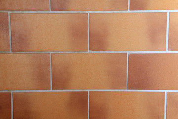 Fototapeta premium Tile