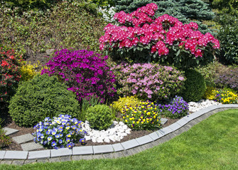 beautiful blooming flower garden in summer