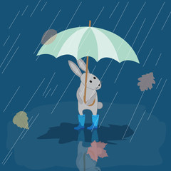 Card Bunny in rubber boots in the rain with umbrella, autumn pic