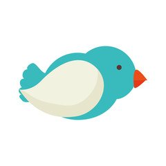 blue bird flying cartoon chick vector illustration 
