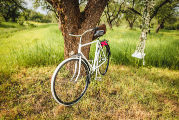 Fototapeta na wymiar Vintage bicycle waiting near tree