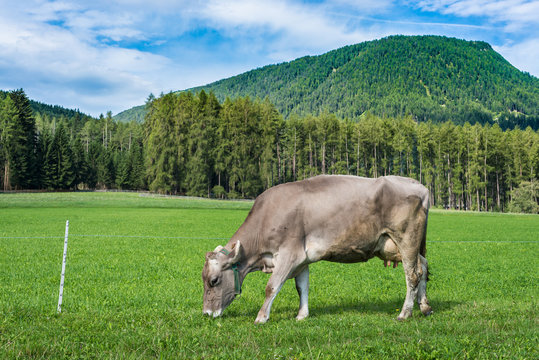 Obsteig in Sonnenplateau, Austria