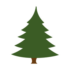 pine tall tree plant traditional christmas decorative symbol vector illustration
