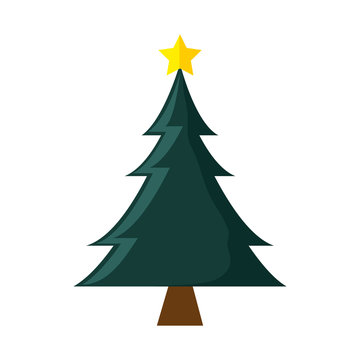 pine tall tree plant with traditional star christmas decoration symbol vector illustration