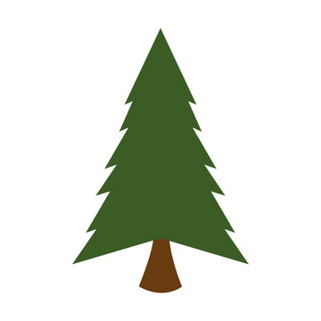 pine tall tree plant traditional christmas decorative symbol vector illustration