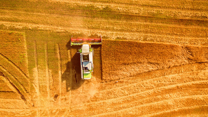 Fototapeta na wymiar Harvester machine working in field . Combine harvester agriculture machine harvesting golden ripe wheat field. Agriculture. Aerial view. From above.