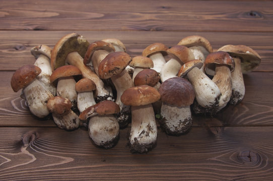 boletus mushrooms on wooden background