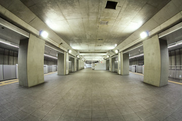 渋谷駅   © kawamura_lucy