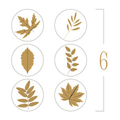 Autumn leaves icons isolated on white background