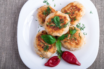 Top view on rissole of minced chicken meat
