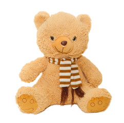 brown teddy bear isolated on white background