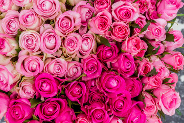 flower market, bright vivid colorful fresh flowers