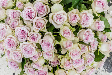 flower market, bright vivid colorful fresh flowers
