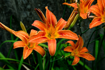 Beautiful modern architecture