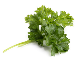 fresh parsley herb  leaves isolated on white background cutout