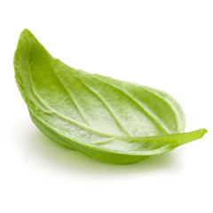 Sweet basil herb leaves isolated on white background closeup