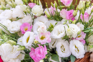 floral background, fresh natural flowers