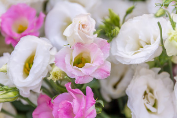 floral background, fresh natural flowers